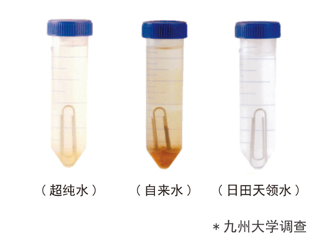 实验