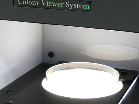 colony viewer system
