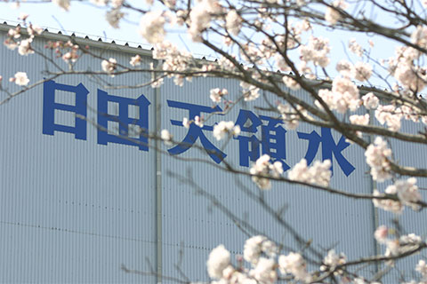 桜の枝越しに見える日田天領水本社壁面に書いてある会社名