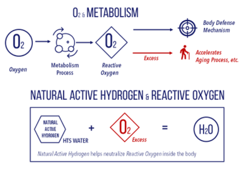 natural active hydrogen & reactive oxygen