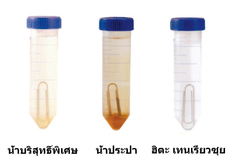 การทดสอบการเกิดสนิมโดยใช้น้ำประเภทต่างๆ